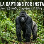 Gorilla Captions for Instagram