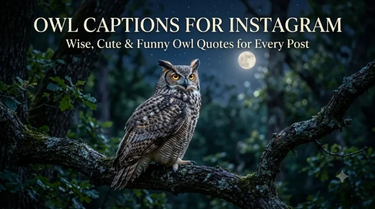 Owl Captions for Instagram