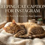 Sleeping Cat Captions for Instagram